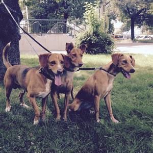 Meet your Posher, Jose